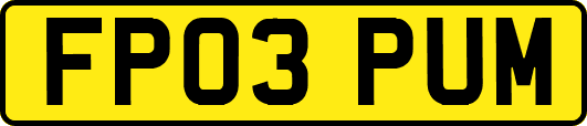 FP03PUM