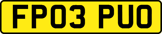 FP03PUO