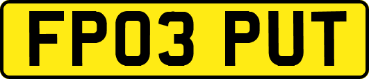 FP03PUT