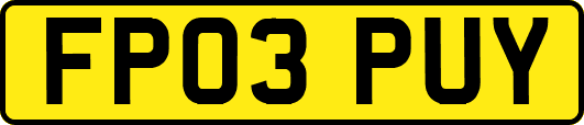 FP03PUY