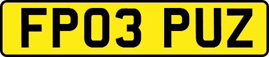 FP03PUZ