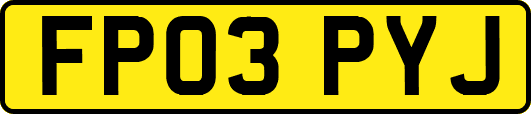 FP03PYJ