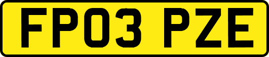 FP03PZE