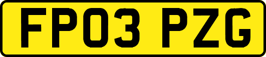 FP03PZG