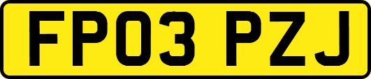 FP03PZJ