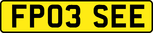 FP03SEE