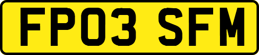 FP03SFM