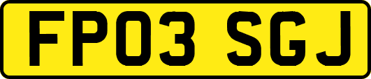 FP03SGJ