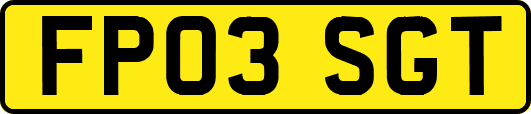 FP03SGT