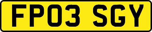 FP03SGY