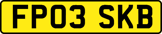 FP03SKB