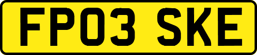 FP03SKE