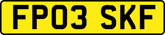 FP03SKF