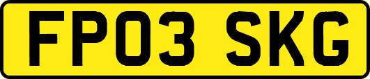 FP03SKG