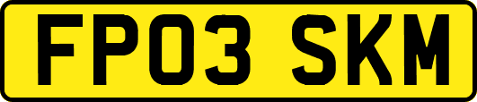 FP03SKM