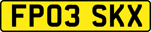 FP03SKX