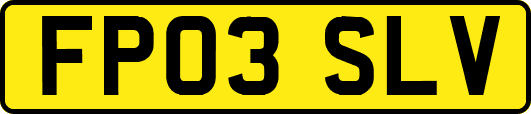 FP03SLV