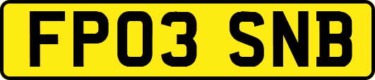 FP03SNB