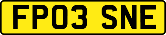 FP03SNE