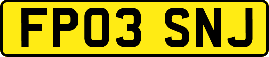 FP03SNJ