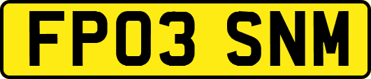FP03SNM