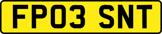 FP03SNT
