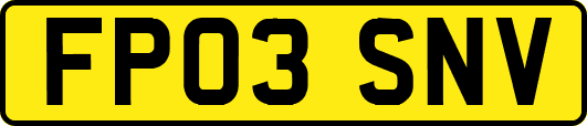 FP03SNV