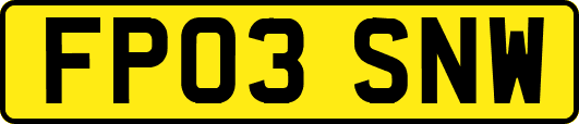 FP03SNW