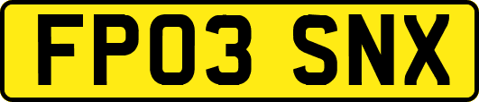 FP03SNX