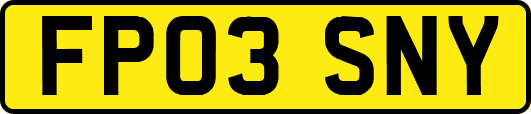 FP03SNY