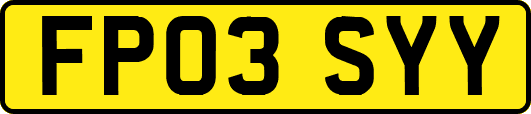 FP03SYY