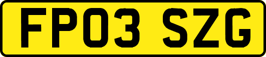 FP03SZG