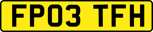 FP03TFH