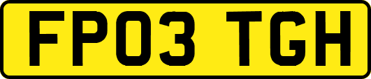 FP03TGH
