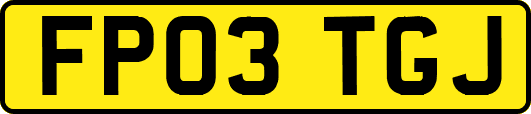 FP03TGJ