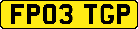 FP03TGP