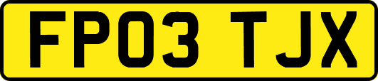 FP03TJX