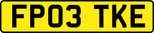 FP03TKE