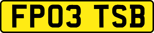 FP03TSB