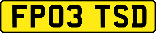 FP03TSD