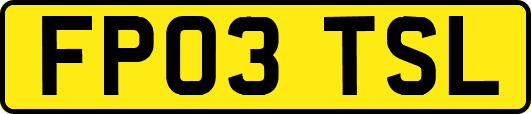 FP03TSL