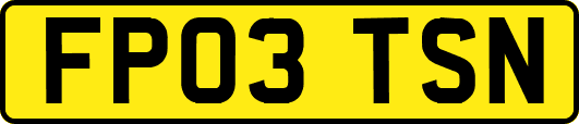 FP03TSN