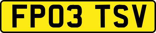 FP03TSV