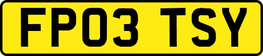 FP03TSY