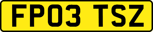FP03TSZ