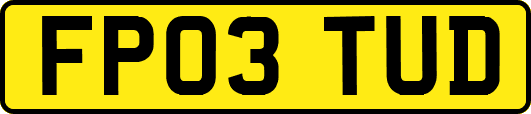 FP03TUD