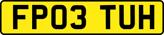 FP03TUH