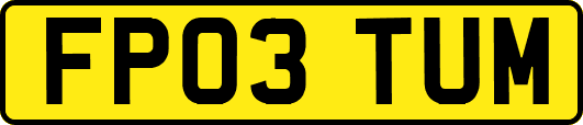 FP03TUM