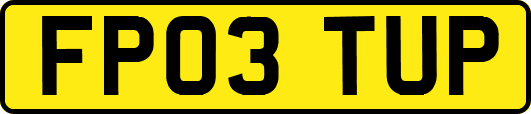 FP03TUP