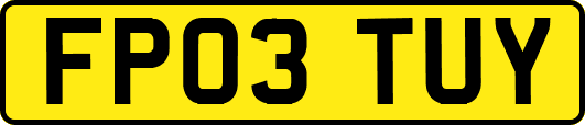 FP03TUY
